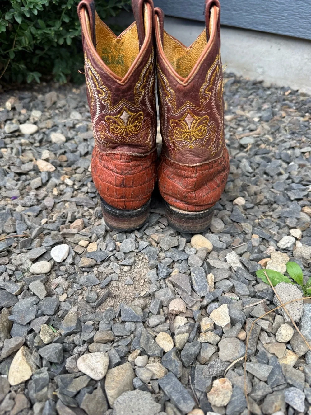 Kids Western Cowboy Boots Croc Embossed Leather Little Kid 11